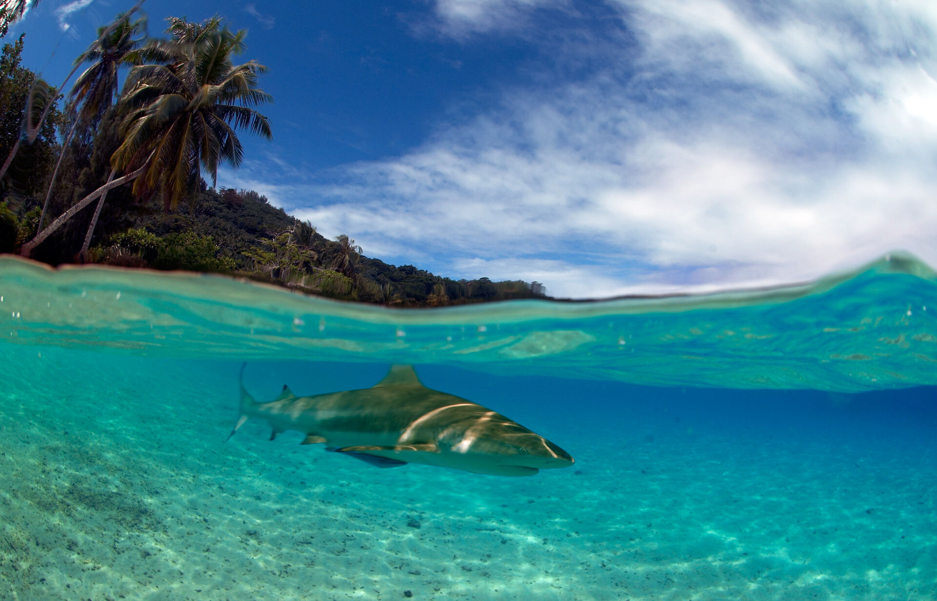 Inselwelten in Französisch-Polynesien