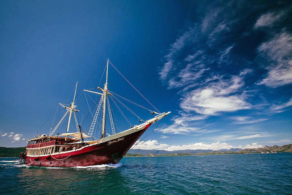 MSY The Seven Seas