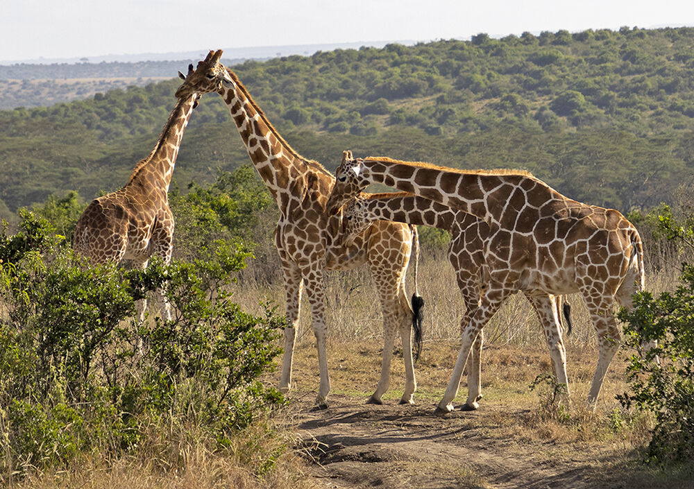 Solio Nationalpark