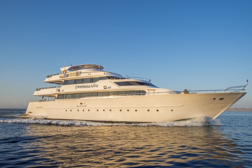 Sea Serpent Contessa