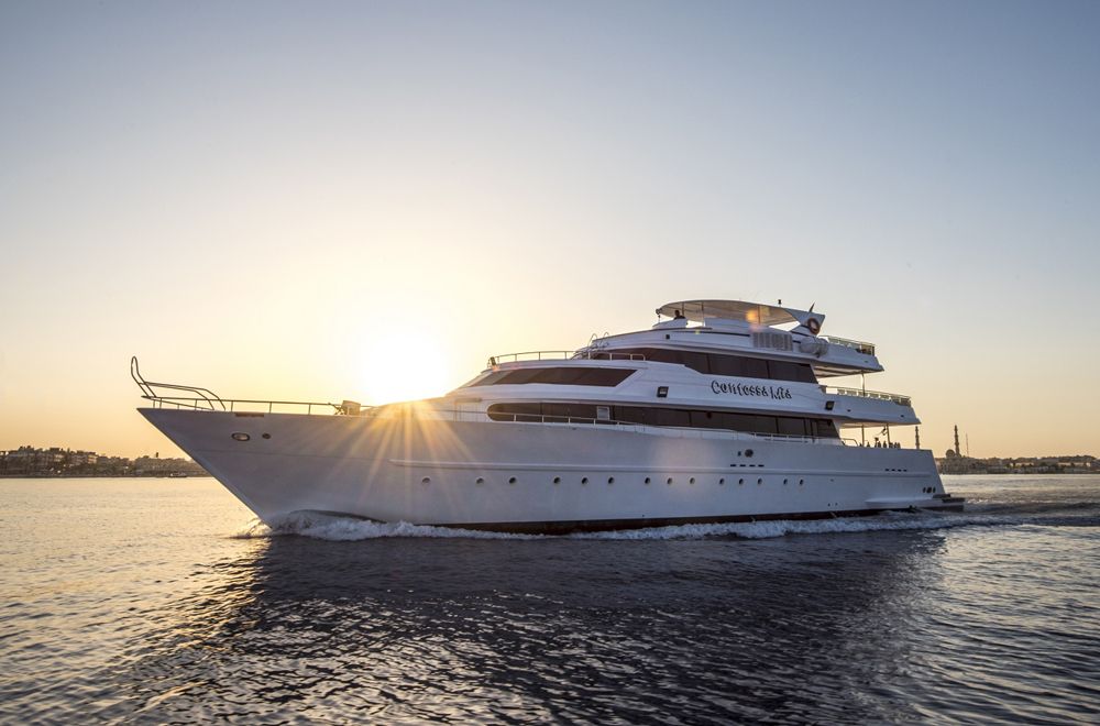 Sea Serpent Contessa