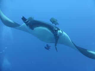 P1050188.JPG
