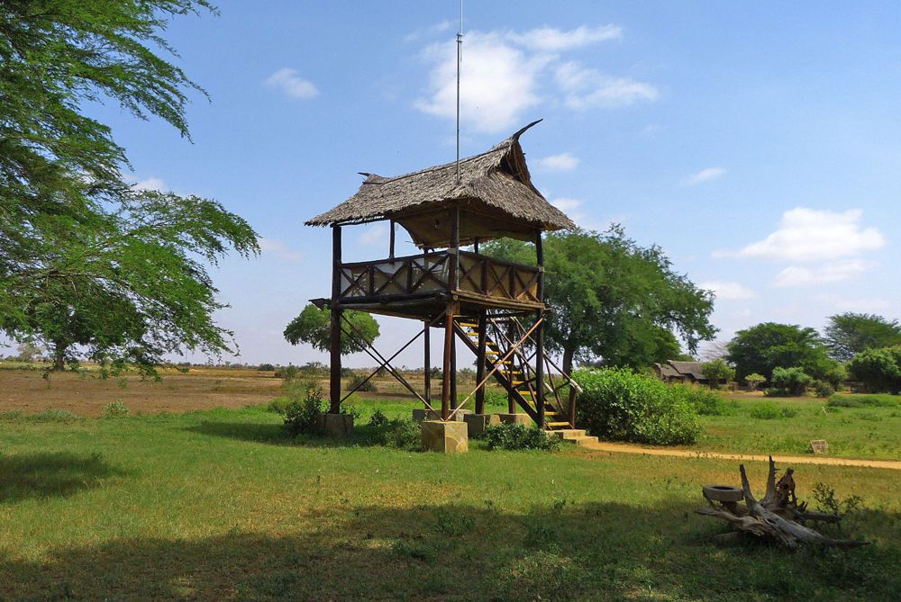 Satao Camp - Hochstand