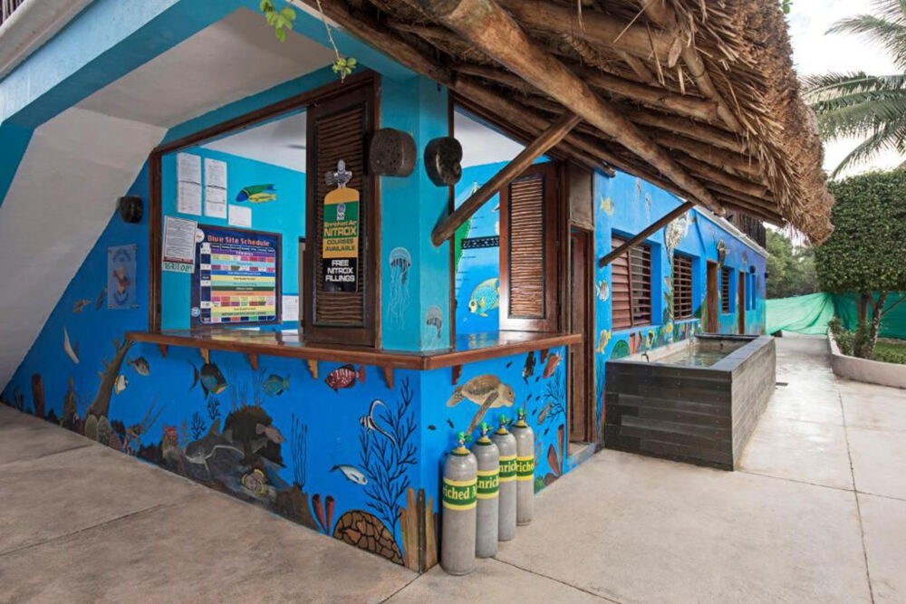 Dressel Divers Cozumel