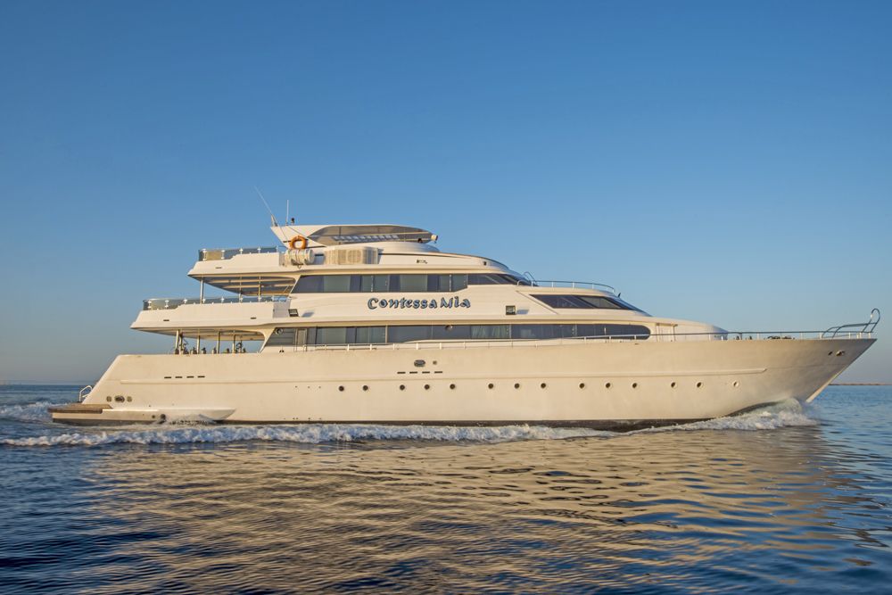 Sea Serpent Contessa
