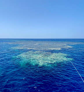Red Sea Explorer Riff
