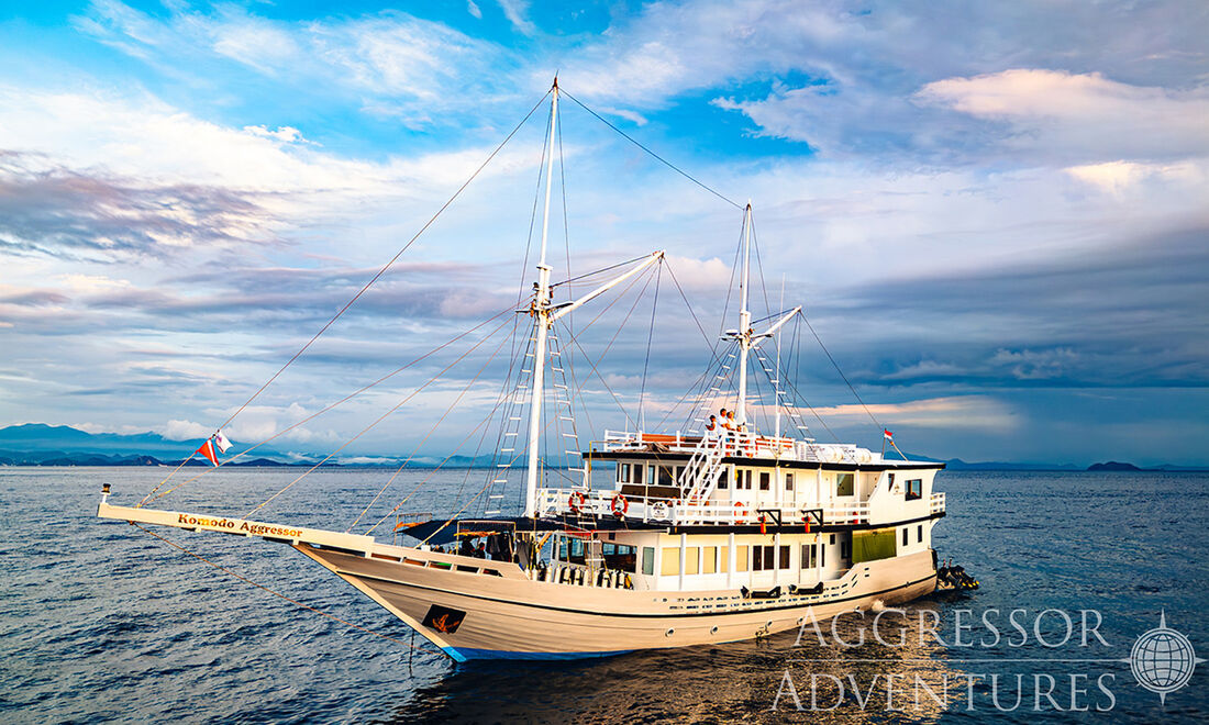 Komodo Aggressor