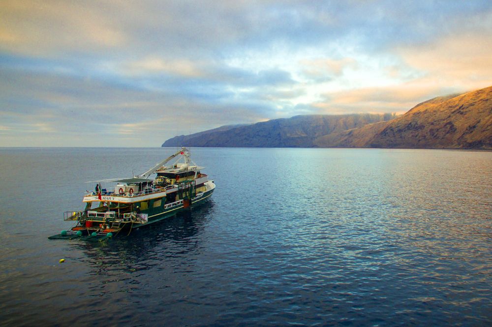 MV Solmar V