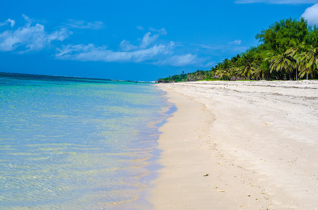Coconut Beach Resort - Strand