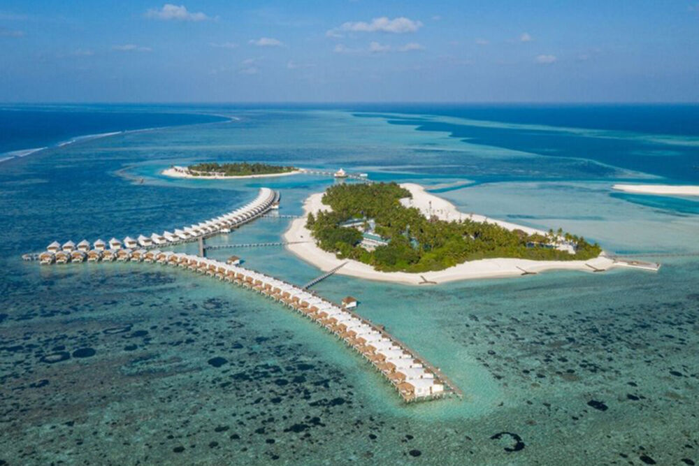 Cinnamon Hakuraa Huraa
